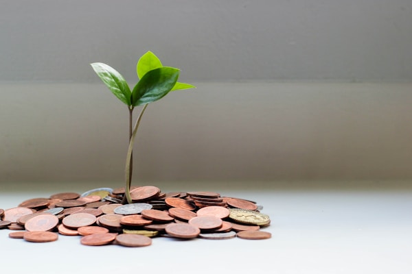 How to budget your money